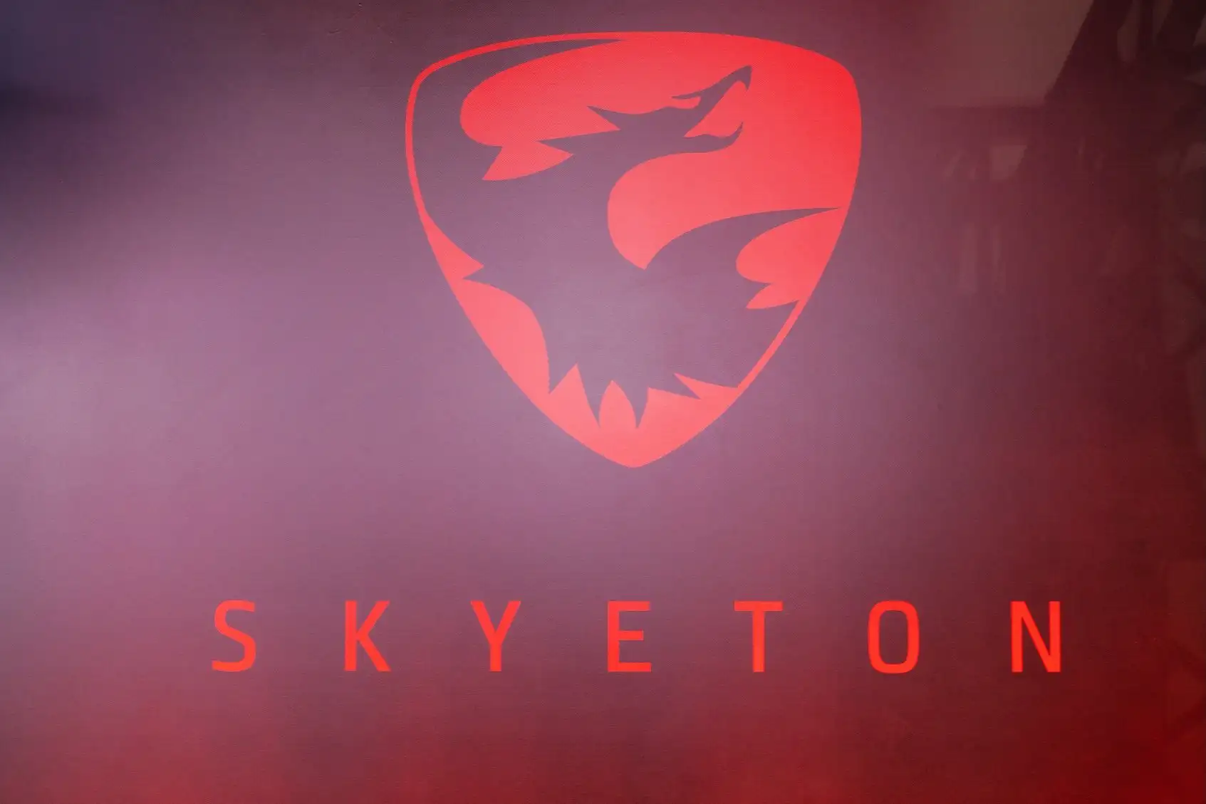 Slovak police prevent arson attack on Ukrainian company Skyeton’s factory