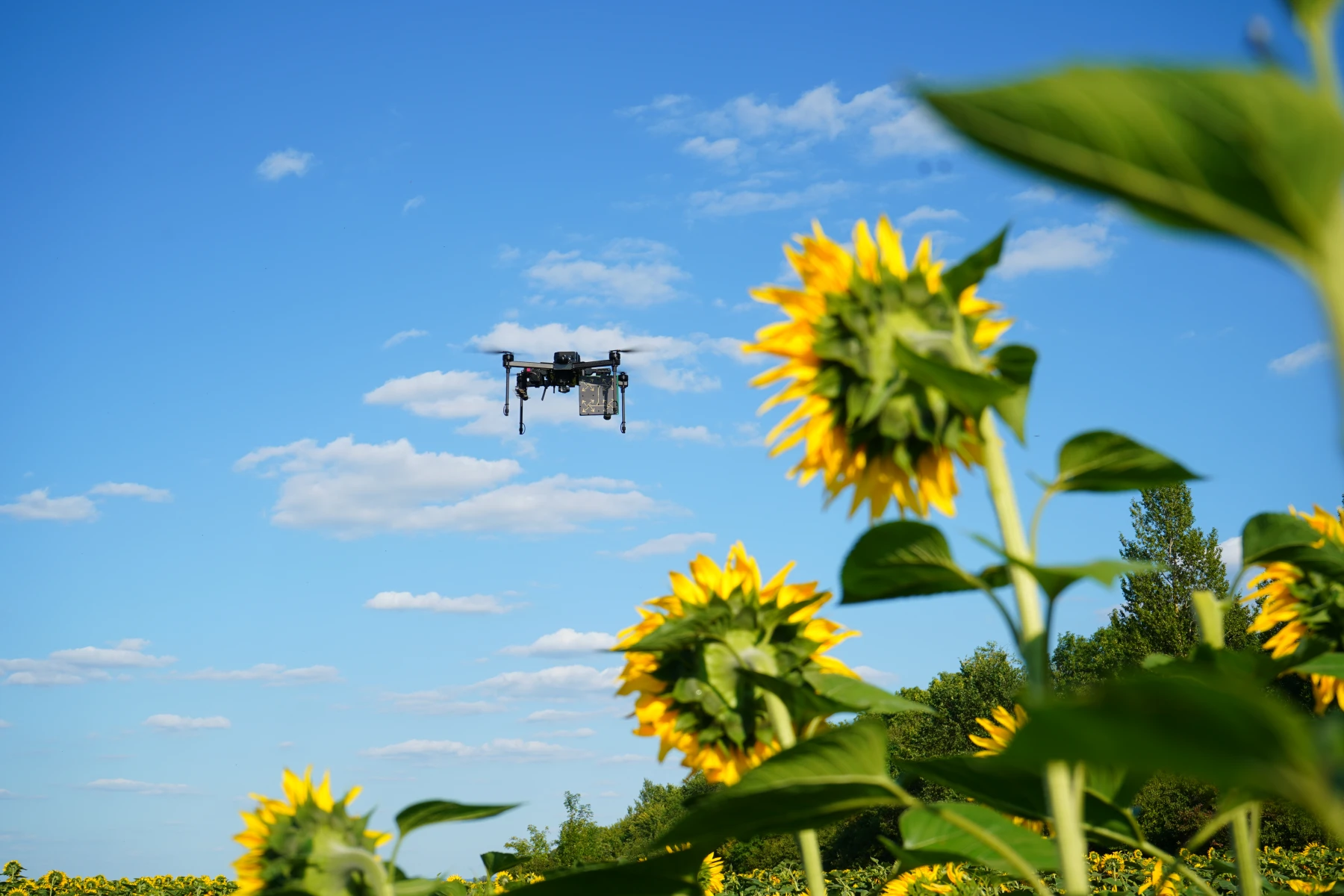 БпЛА носій ретранслятора Saker Scout C від Twist Robotics.