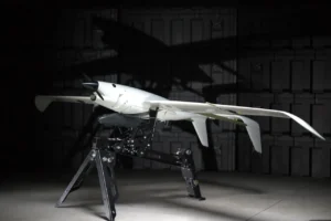 Skyeton розробила новий безпілотник Stormbird для ударних місій